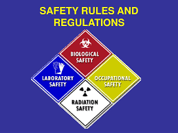 PPT - SAFETY RULES AND REGULATIONS PowerPoint Presentation, free download -  ID:9501739